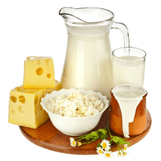 Dairy