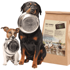 Pet Supplies