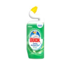 Duck Deep Action Toilet Cleaner at Food Lover's Market Kanengo in Kapani Kanengo Shopping Centre, Lilongwe, Malawi